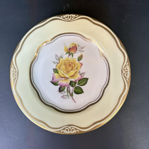 Flowers of the First Lady Collection, Eleanor Roosevelt's Yellow Rose - Picture 1 of 8